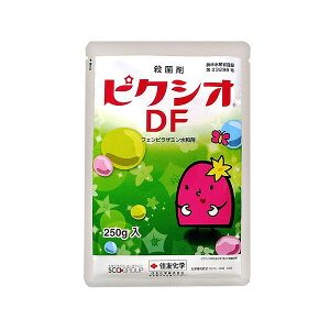 ZFw| Eۍ sNVIDF 250g SK-2056793 tFsU~a tFsU~a