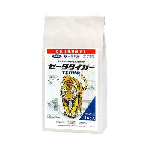 ZFw|  [[^^CK[1L 1kg SK-2056764 vsXtEuu`hEygLT] {cp p Eꔭ vsXtEu