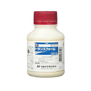 Yw gXtH[ tAu 250ml NK-2057491 XzLTta XzLTta