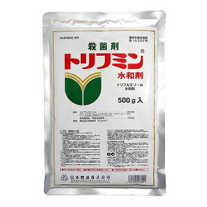 {B Eۍ gt~a 500g NS-2056306 gt~][a gt~][a