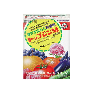 jb\[O[ Eۍ gbvWMa 1.0g×10ܓ NG-2057132 `It@l[g`a `It@l[g`a