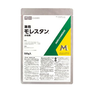 AOJlVE Eۍ X^a 500g AK-2057238 LmLTna LmLTna