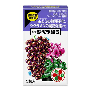 A܁@q A STWx5 5 KINCHO| WxWE5WEC