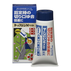 @Eۍ Eۍ gbvWMy[Xg 100g KINCHO| gcvWMy-Xg100G