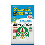 オルトランDX粒剤　1KG KINCHO園芸 オルトランDXリユウザイ1KG