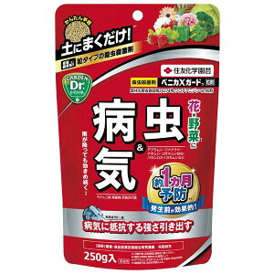 EEۍ xjJXK[h 250g KINCHO| xjJXK-hEUC250G