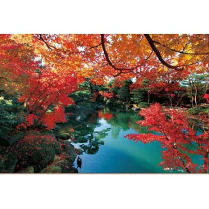 ̂܂ {̕i яH̗Ruij 1000s[Xy10-1431z WO\[pY