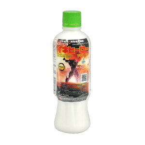 Ȍ pꔭ Clq[[ tAu 500ml KS-2057380 ڐA㏈ _CEygLT]E^]Xta _CEygLT]E^]Xt
