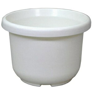 ֔ F^ 10(zCg) AbvEFA[ n`FK^10SEzCg