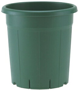 o 10(O[) AbvEFA[ on`10SEO-