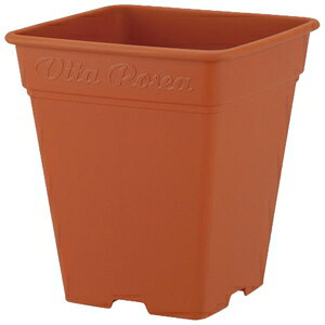 [AXNGA 330^(uE) AbvEFA[ [AXNGA330K^BR