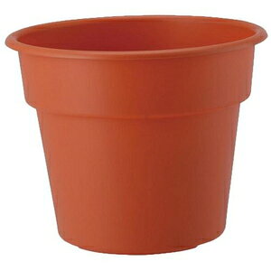 AP|bg 4(eRb^) AbvEFA[ AP|cg4SEeRc^