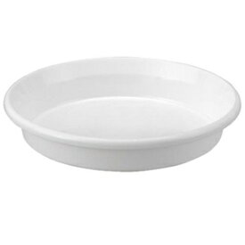 鉢皿 F型 3号(ホワイト) アップルウェアー ハチサラFガタ3ゴウホワイト