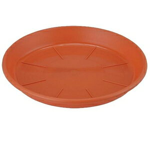 MAP 16(eRb^) AbvEFA[ ATUAP16SEeRc^