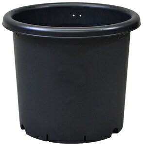 e 10(ubN) AbvEFA[ LNo`10SEucN