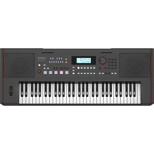 [h 61L[{[h E-X50 Roland@ARRANGER KEYBOARD