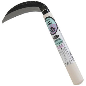 g n zE\Ep VEJNK}zE\EE g