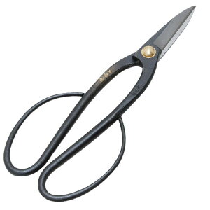 g  ~ 200mm {TCnT~200MM g 