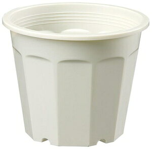 |@Aؔ@|pi@K[fjOpi@|bg Ԕ 5(N[) avX`bN nin`5SE N-