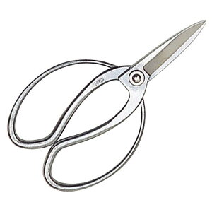 S[fX^[  XeX v n #3525