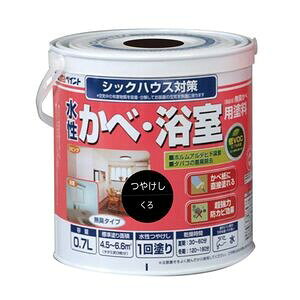 AgnEXyCg ׁEph(L) 0.7L  AH-9050463 AgyCg
