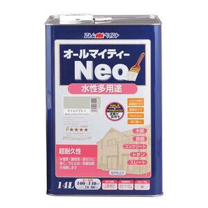 AgnEXyCg I[}CeB[lI 14L(}ChO[) AH-9050264 AgyCg