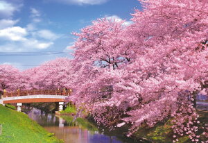 G|bN {̕i V͊ݐ̍ -  300s[Xy26-363z WO\[pY