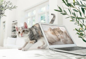 G|bN e[N͂肾ɂI 300s[Xy26-370z WO\[pY