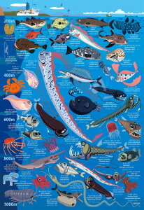 �G�|�b�N�� �F�i���� �[�C�����}�� ���[200m�`1000m 100���[�W�s�[�X�y26-807�z �W�O�\�[�p�Y��