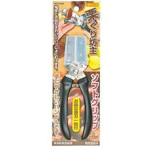 ֗ IV \tgObviC-3809j p[ NN{EY \tgOcv