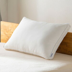 ACXI[} ӂX[vs[ PT-4060 IRIS [PT4060ACX]