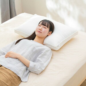 ACXI[} X[vs[ ^Cv PTU-4060T IRIS [PTU4060T]