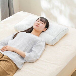 ACXI[} pCv܂ ^Cv PPU-4060T IRIS [PPU4060T]