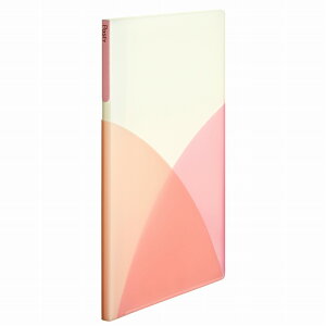 vX Pasty (pXeB) NAt@C B5 20|Pbgis[`sNj FC-420P(98420)