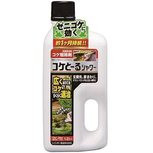 RPƁ[V[ 1.2L C{[i RPg-V-1.2L