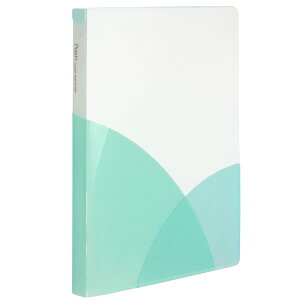 vX Pasty (pXeB) [Y[toC_[ B5i\[_u[j FC-800PR(98804)