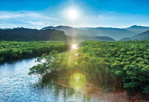 G|bN EY \i{j 300s[Xy26-361z WO\[pY