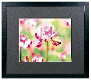 �t�W�J���[ �ؐ��z�� ���C�h�}�b�g�t���[�� M3000 4�؁i�u���b�N�j�i�O�ʔ�-�A�N�����j ���C�hM�t���[��M3000 W4 FUJICOLOR