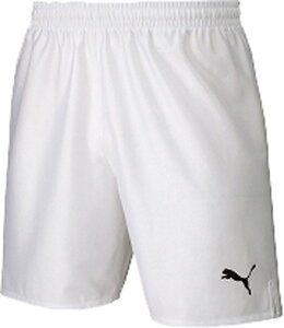 v[} WjA LIGA Q[pciv[}zCg/v[}ubNETCYF120j PJ-729970-04-120 PUMA