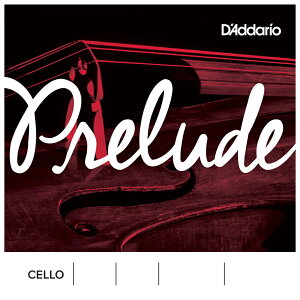 __I `F@Zbg J1010 3/4M D'Addario@Prelude Cello Strings