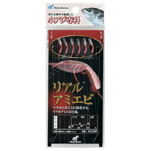 nuT AW AA~Gr HS200 5 nX0.8 HS200-5-0.8 HAYABUSA