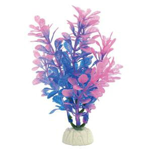 @ANAE@CAEg@@Ϗ܋ ~iXvc S|1 jb\[ ~iXvc S-1