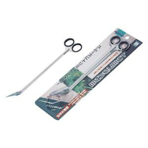 @ANAE@@Ϗ܋ g~OnT~ }J g~OnT~