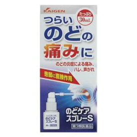 【第3類医薬品】のどケアスプレーS 30ml カイゲンファーマ ノドケアスプレ-S 30ML [ノドケアスプレS30ML]【返品種別B】