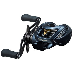 _C 22 XeB[Y A II TW 1000H Enh 22XeB[Y A II TW 1000H DAIWA STEEZ A II TW