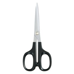 RN nT~HASA(EHp) HASA-003