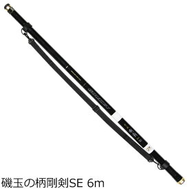 プロックス 磯玉の柄剛剣SE 600 6m ITGKS60 PROX タモの柄