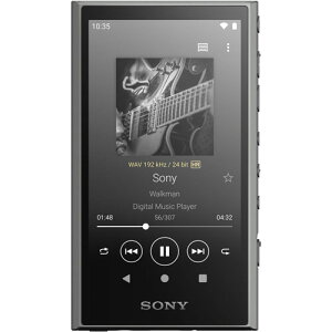 NW-A306-H ソニー ウォークマン A300シリーズ 32GB（グレー） SONY Walkman