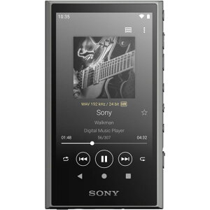 \j[ EH[N} A300V[Y 64GBiO[j NW-A307-H SONY Walkman