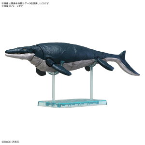 o_CXsbc mXP[ vmTEX TTEX vf